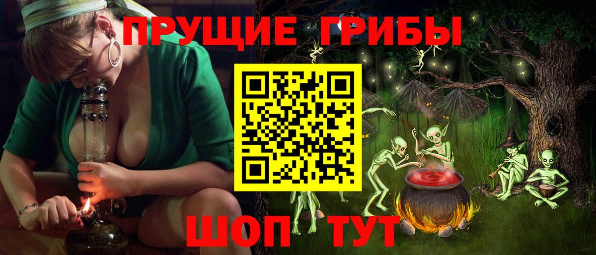 Галлюциногенные грибы Psilocybine cubensis Ковров