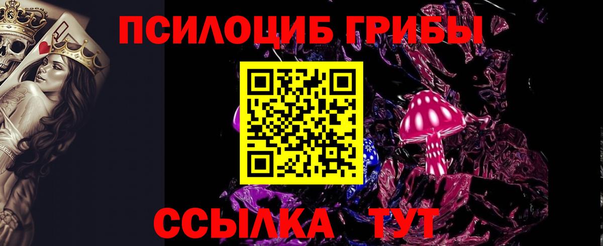 Галлюциногенные грибы Psilocybine cubensis  Вход с VPN  Ковров 